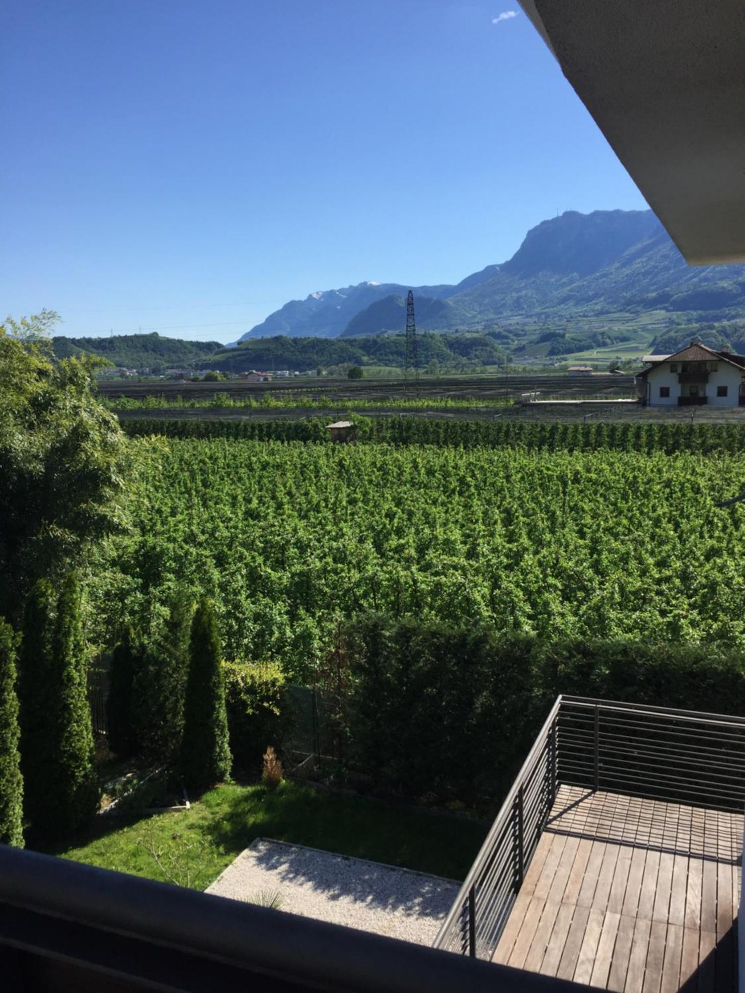 B&B Mele D'Oro Bolzano Ngoại thất bức ảnh